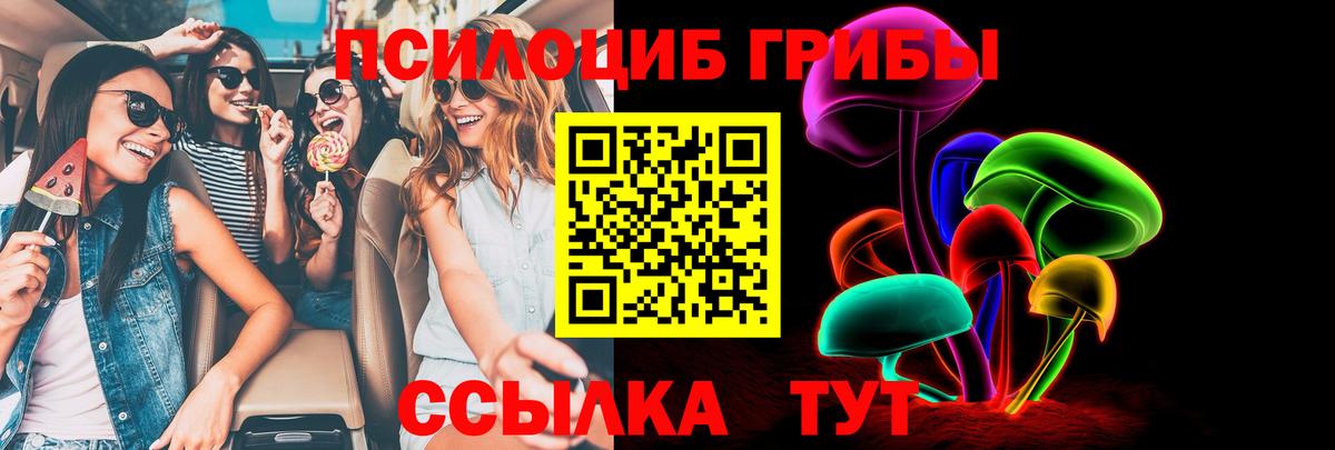Псилоцибиновые грибы прущие грибы Новоалександровск